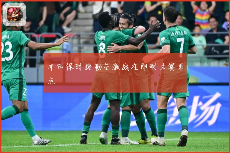 丰田保时捷勒芒激战在即耐力赛看点