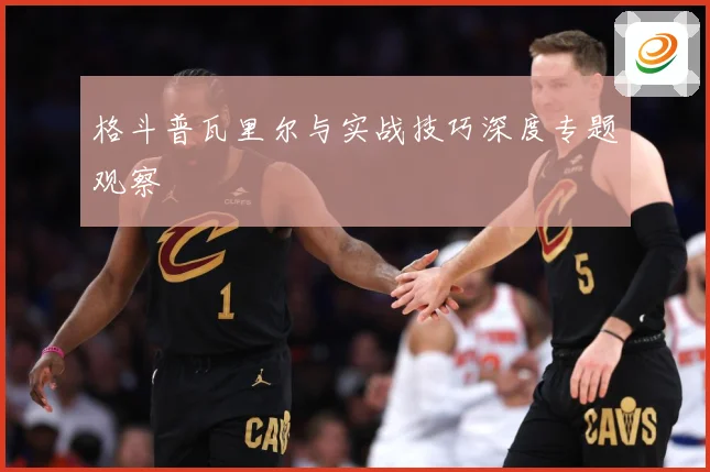 格斗普瓦里尔与实战技巧深度专题观察