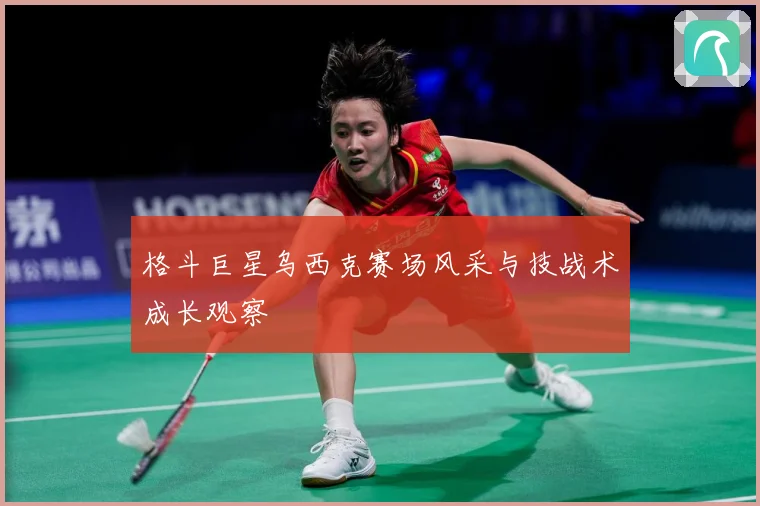 格斗巨星乌西克赛场风采与技战术成长观察