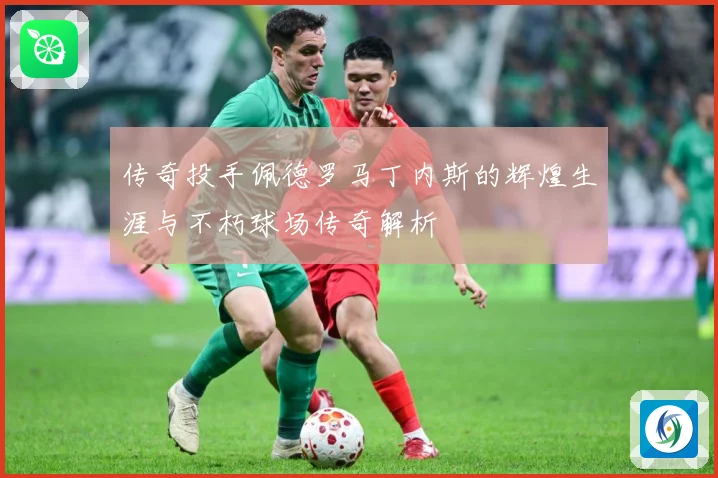 传奇投手佩德罗马丁内斯的辉煌生涯与不朽球场传奇解析
