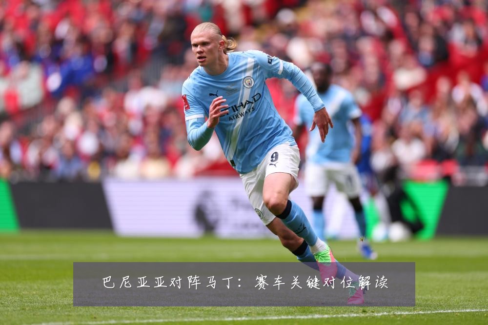巴尼亚亚对阵马丁：赛车关键对位解读