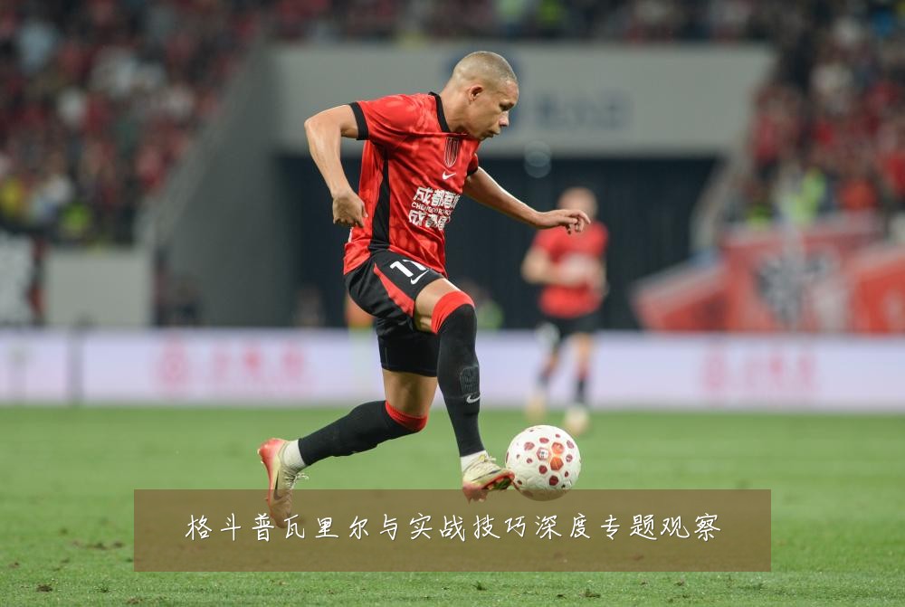 格斗普瓦里尔与实战技巧深度专题观察
