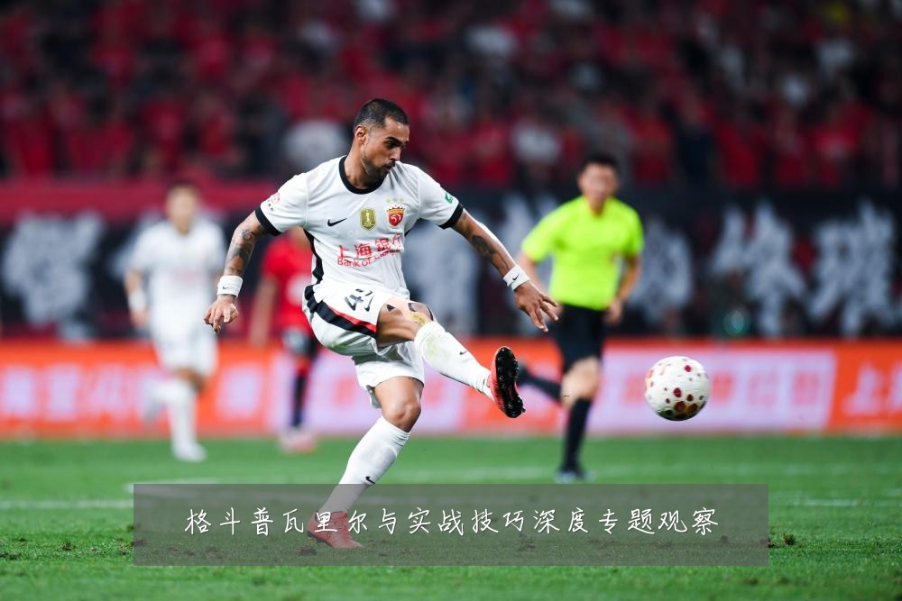 格斗普瓦里尔与实战技巧深度专题观察